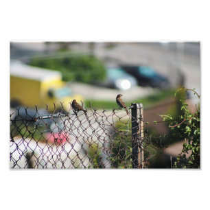 City Terrace Photo Print