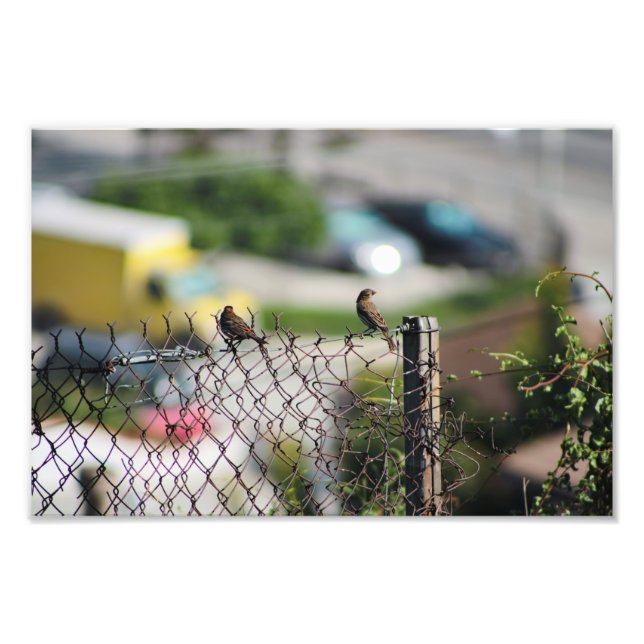 City Terrace Photo Print (Front)