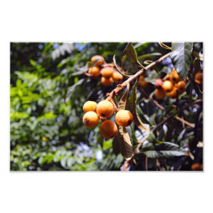 City Terrace Photo Print