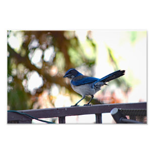 City Terrace Photo Print