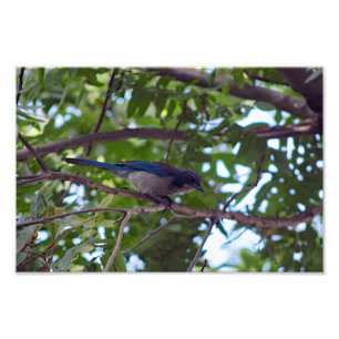 City Terrace Photo Print