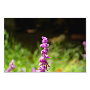 City Terrace Photo Print