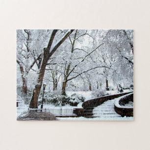 City Winter Puzzle