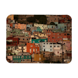 Cityscape Of Guanajuato, Mexico Magnet