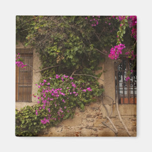 Ciudad Monumental, flower-covered buildings Magnet