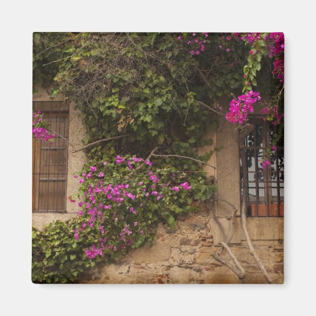 Ciudad Monumental, flower-covered buildings Magnet (Front)