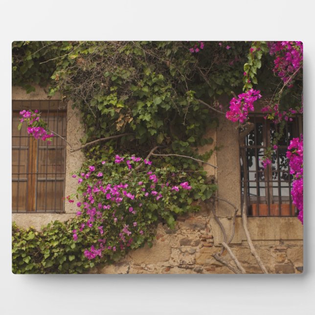 Ciudad Monumental, flower-covered buildings Plaque (Front)