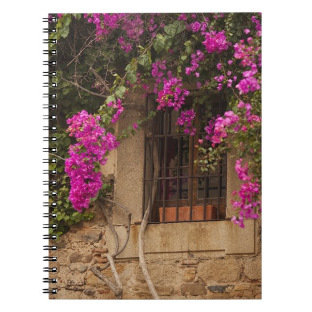 Ciudad Monumental, flower-covered buildings Spiral Notebook (Front)