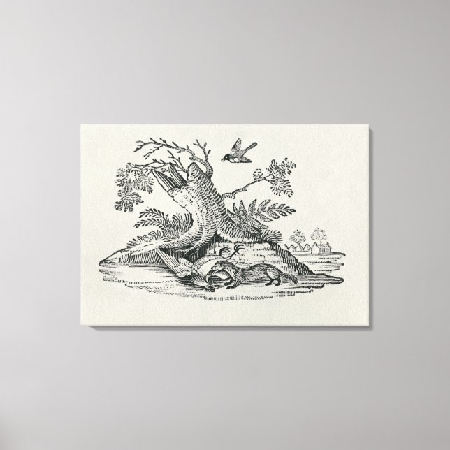 Civet with Cockerel from 'History of Quadrupeds' Canvas Print (Front)