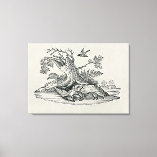 Civet with Cockerel from 'History of Quadrupeds' Canvas Print