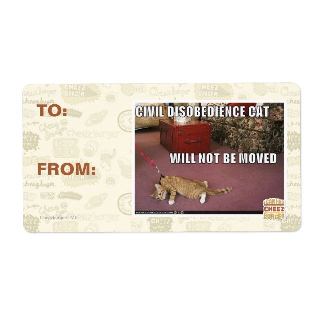 Civil Disobedience Cat (Front)