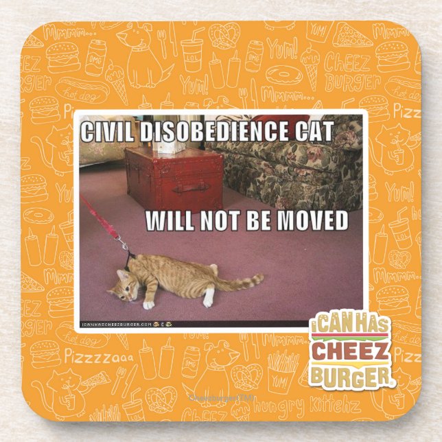 Civil Disobedience Cat Coaster (Front)