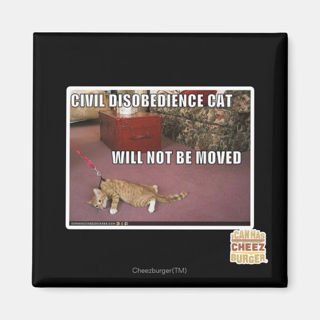 Civil Disobedience Cat Magnet (Front)