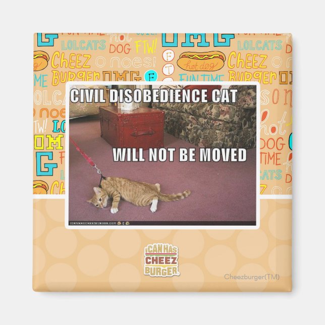 Civil Disobedience Cat Magnet (Front)