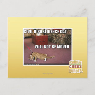 Civil Disobedience Cat Postcard