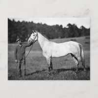 Civil War Horse, 1860s