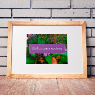 Civility costs nothing wisdom saying photo poster
