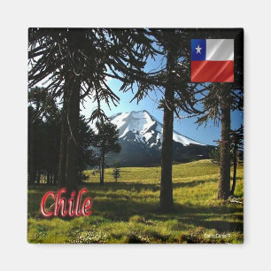 CL - Chile - Araucarias - Natural Monument Magnet