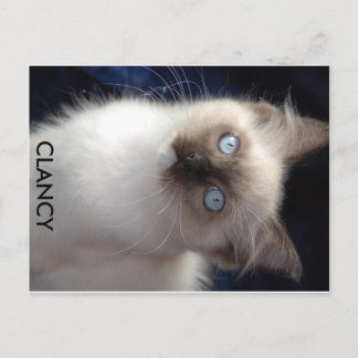 cla1, CLANCY Postcard