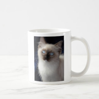 cla1, RW SGCAWillowtreerags'Irish Fancyaka  Clancy Coffee Mug