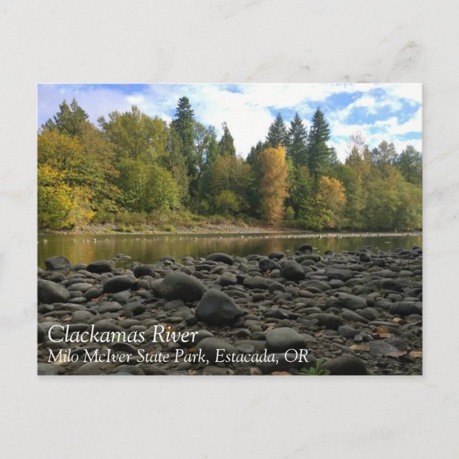Clackamas River, Oregon Postcard (Front)