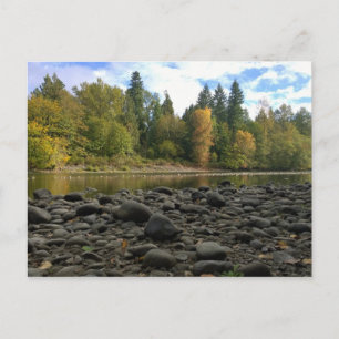 Clackamas River, Oregon Postcard