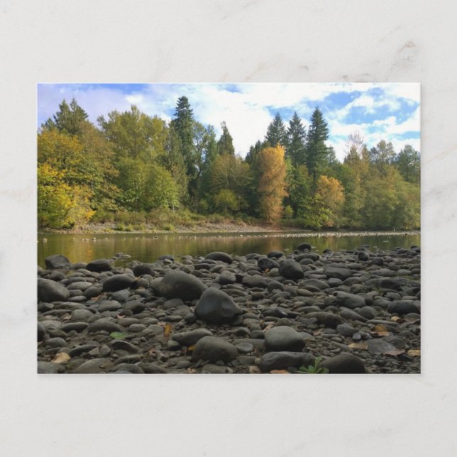 Clackamas River, Oregon Postcard (Front)