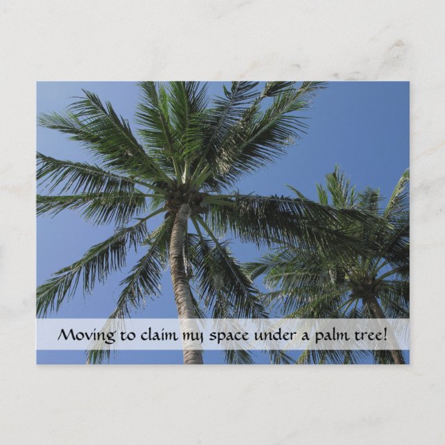 Claiming Space in Paradise on Postcard (Front)