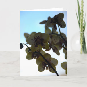 Clair de Fleur Card