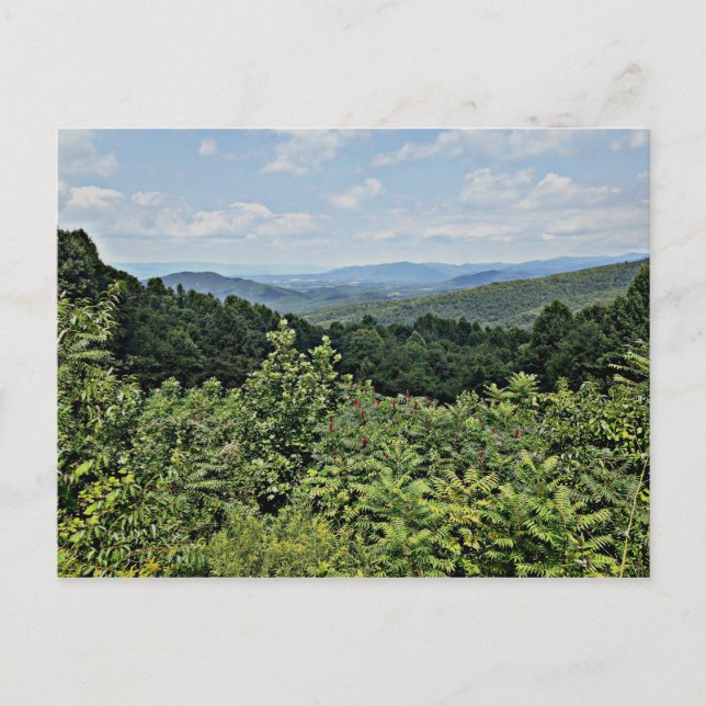 Clair - Shenandoah National Park Postcard (Front)