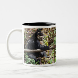 Clair's Coya Mug