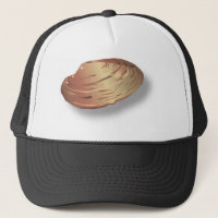 Clam Shell Image
