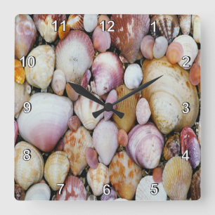 Clam Shell Square Wall Clock