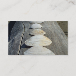 Clam shells business cards