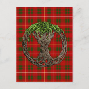 Clan Bruce Tartan And Celtic Tree Of Life Postcard
