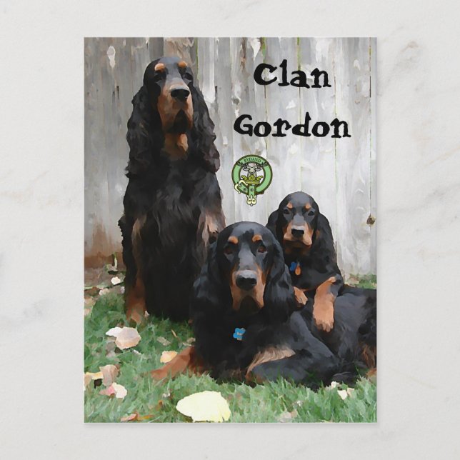 Clan Gordon, Gordon Setter Painting Postcard (Front)