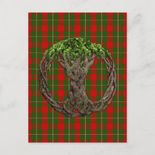 Clan MacGregor Tartan And Celtic Tree Of Life Postcard