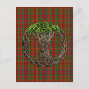 Clan Munro Tartan And Celtic Tree Of Life Postcard