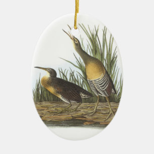 Clapper Rail by Audubon Ceramic Tree Decoration