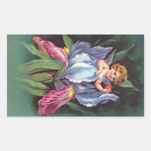 Clapsaddle: Flower Cherub Iris Rectangular Sticker (Front)