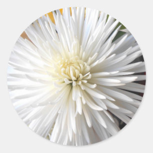 Claricia Classic Round Sticker