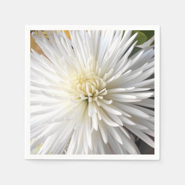 Claricia Napkin (Front)