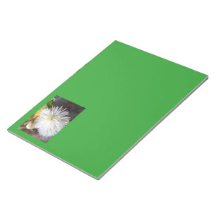 Claricia Notepad