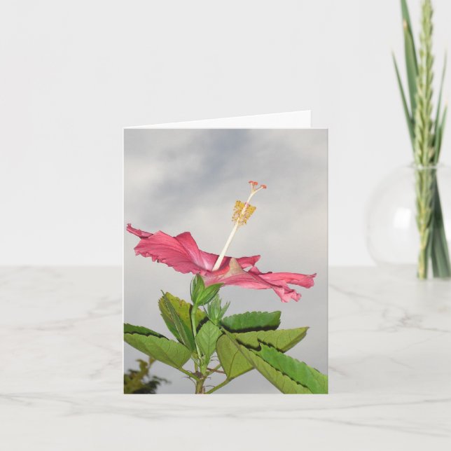 Clarion Card (Front)