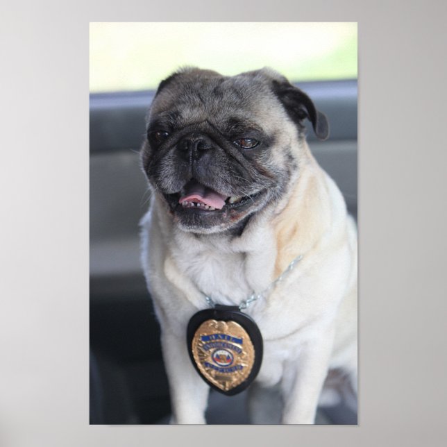 Clark as Pug The Bounty Hunter Poster (Front)