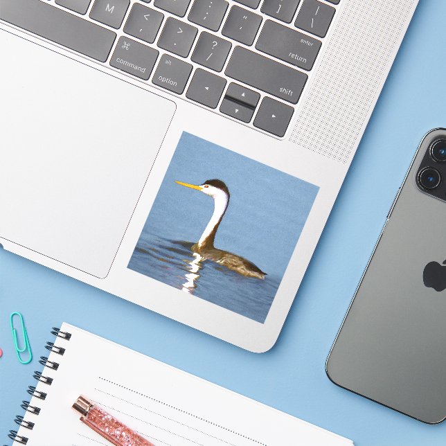Clark's Grebe Painting - Original Bird Art (Laptop w/ iPhone)