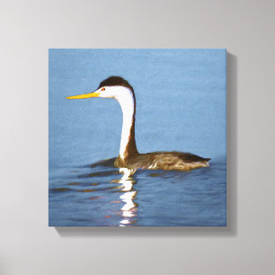 Clark's Grebe Painting - Original Bird Art Canvas Print