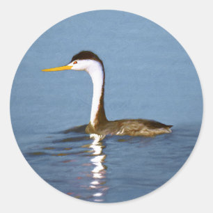 Clark's Grebe Painting - Original Bird Art Classic Round Sticker