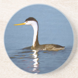Clark's Grebe Painting - Original Bird Art Coaster