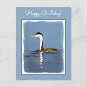 Clark's Grebe Painting - Original Bird Art Postcard